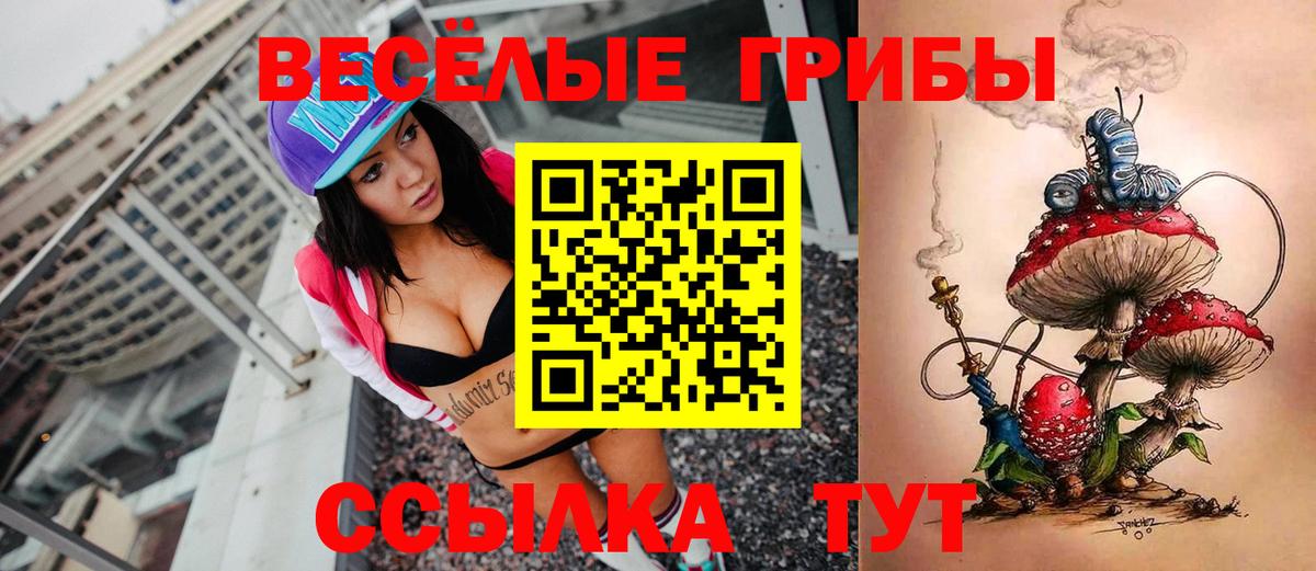 Псилоцибиновые грибы MAGIC MUSHROOMS Кунгур