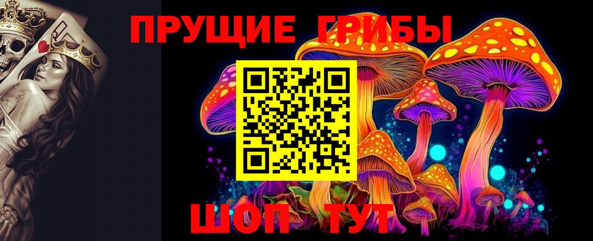 Кунгур  Псилоцибиновые грибы Cubensis  Вход с VPN 